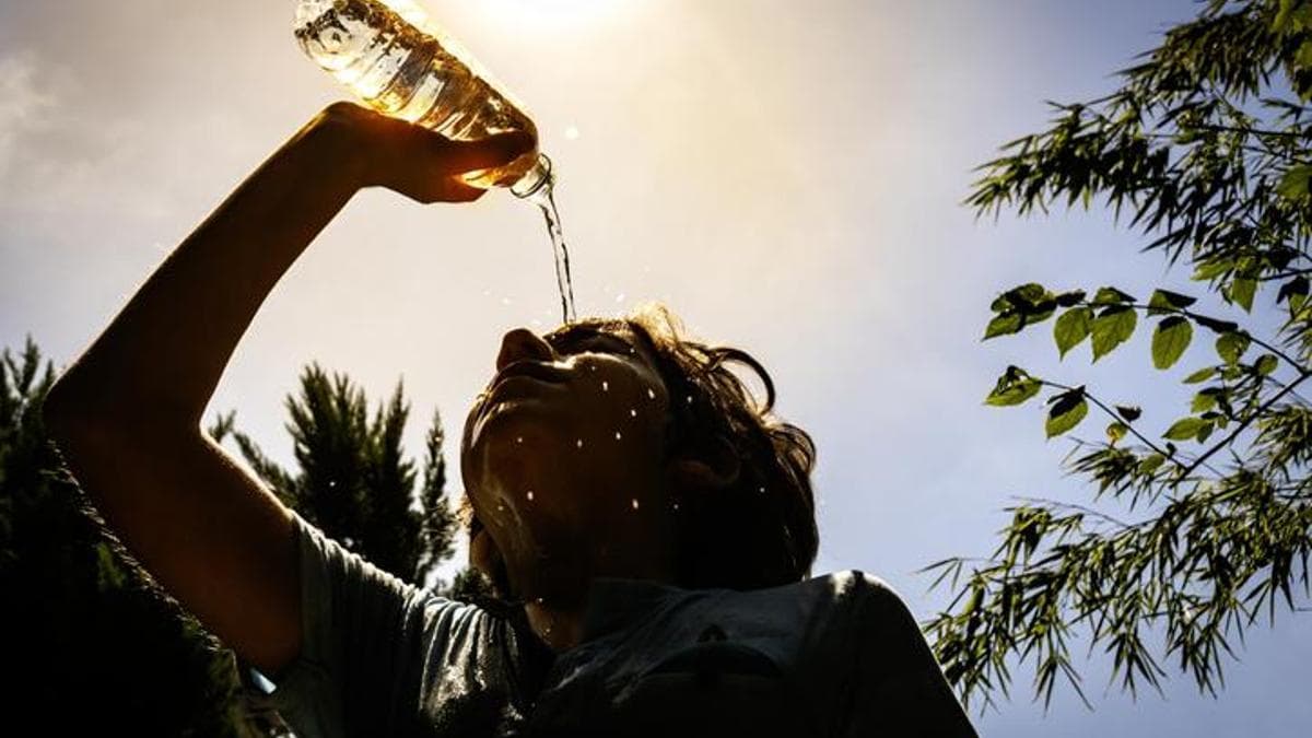 El Nino Etkisi: Türkiye Sıcak Havalara Hazır mı?