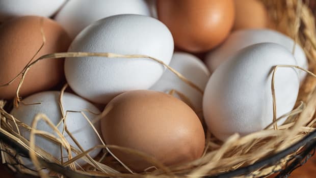 Yumurtanın Sağlığa Faydaları: Alzheimer Riskini Azaltma Potansiyeli