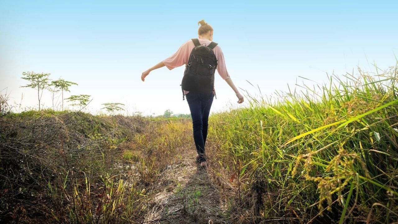 Tick Awareness Expands Beyond Rural Areas as Summer Approaches