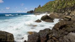 British Island Resident Monitored for Hantavirus Exposure Shows No Symptoms