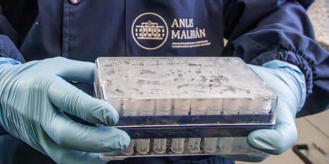 Hantavirus: Are There Treatments and Vaccines Available?